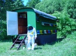 Proces výroby medu v prevádzke Apisek